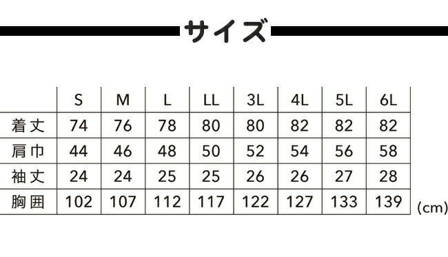 TSDESIGN藤和半袖シャツ