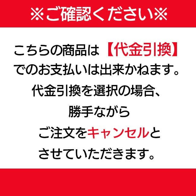 レグルスインバーター直流溶接機RAA-250D【法人様限定】【代金引換不可】【北海道・沖縄・離島不可】