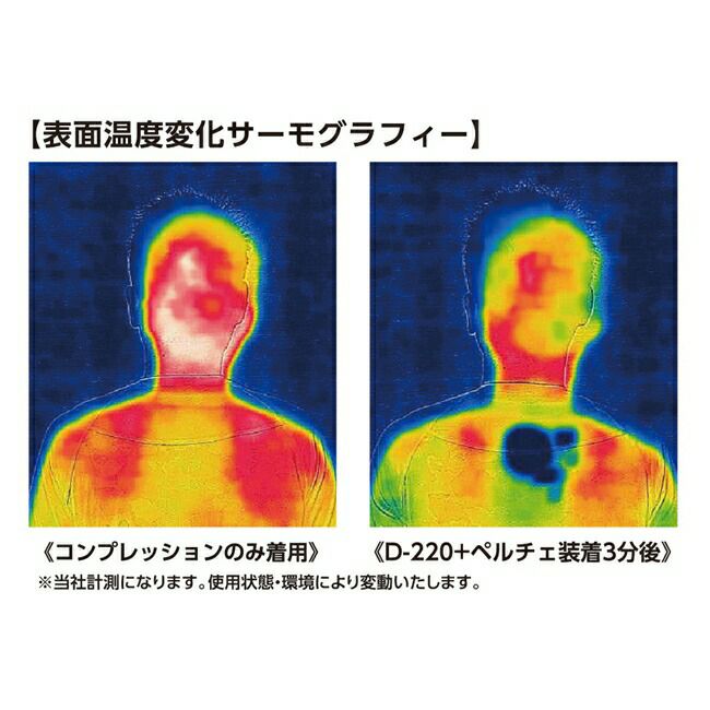 コーコスCO-COSボルトアイスペルチェクーラーユニット