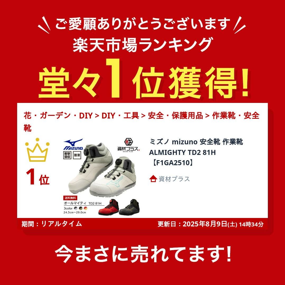 ミズノ mizuno 安全靴 作業靴 ALMIGHTY TD2 81H 【F1GA2510
